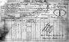 1901 Census GARDINER N